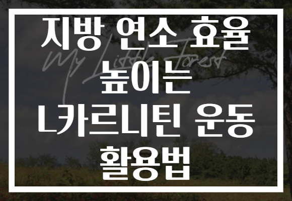 지방 연소 효율 높이는 L카르니틴 운동 활용법