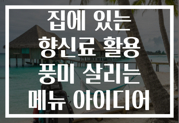 집에 있는 향신료 활용 풍미 살리는 메뉴 아이디어