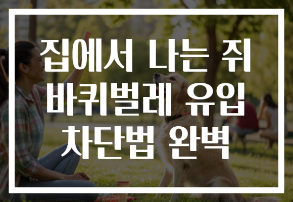 집에서 나는 쥐 바퀴벌레 유입 차단법 완벽 집에서 나는 쥐 바퀴벌레 유입 차단법 완벽