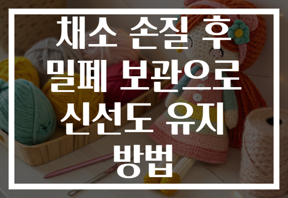 채소 손질 후 밀폐 보관으로 신선도 유지 방법 채소 손질 후 밀폐 보관으로 신선도 유지 방법