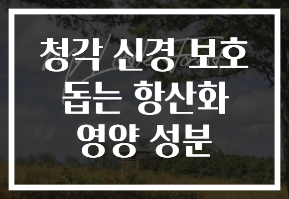 청각 신경 보호 돕는 항산화 영양 성분