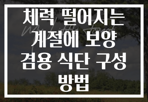 체력 떨어지는 계절에 보양 겸용 식단 구성 방법