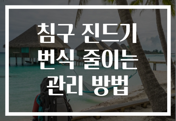 침구 진드기 번식 줄이는 관리 방법