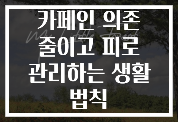 카페인 의존 줄이고 피로 관리하는 생활 법칙 카페인 의존 줄이고 피로 관리하는 생활 법칙