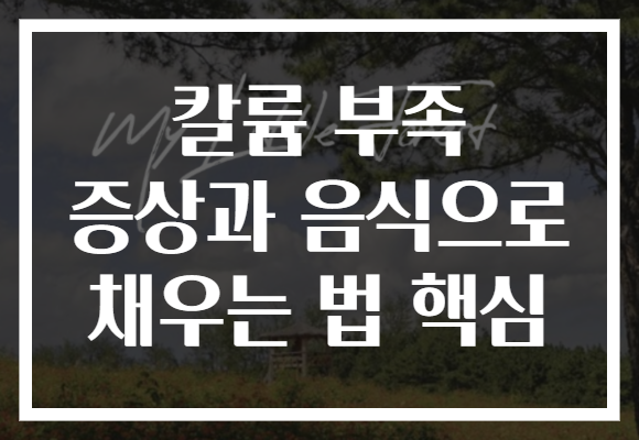 칼륨 부족 증상과 음식으로 채우는 법 핵심