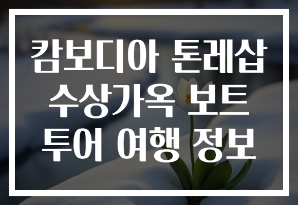 캄보디아 톤레삽 수상가옥 보트 투어 여행 정보 캄보디아 톤레삽 수상가옥 보트 투어 여행 정보