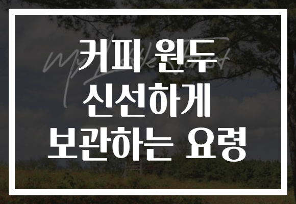 커피 원두 신선하게 보관하는 요령