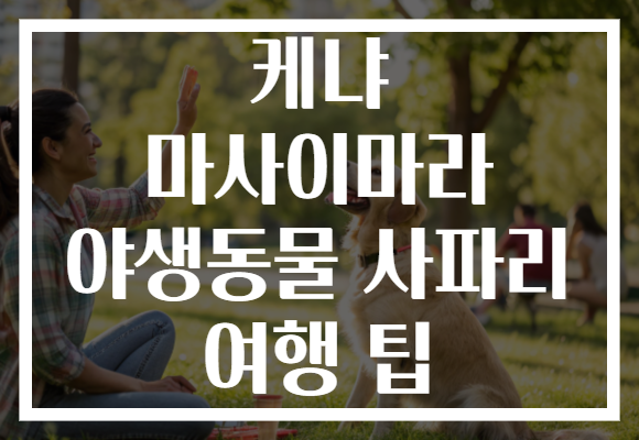 케냐 마사이마라 야생동물 사파리 여행 팁