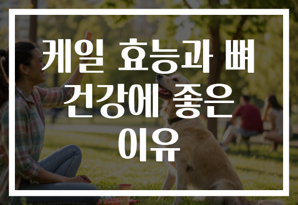 케일 효능과 뼈 건강에 좋은 이유