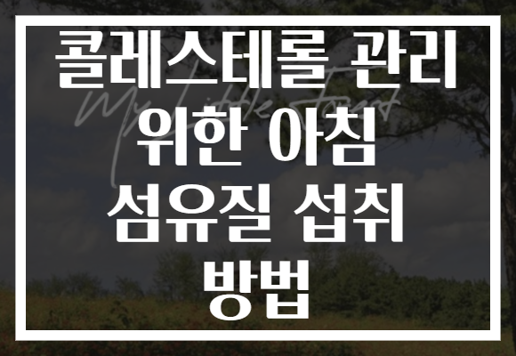 콜레스테롤 관리 위한 아침 섬유질 섭취 방법