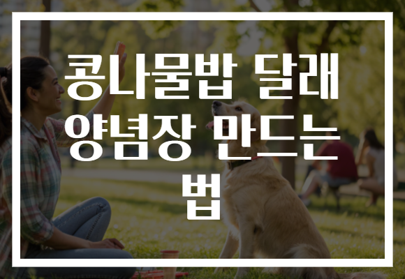 콩나물밥 달래 양념장 만드는 법 콩나물밥 달래 양념장 만드는 법