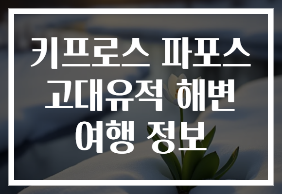 키프로스 파포스 고대유적 해변 여행 정보