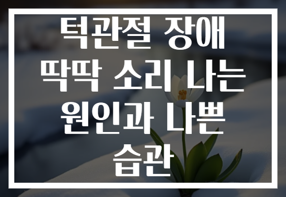 턱관절 장애 딱딱 소리 나는 원인과 나쁜 습관 턱관절 장애 딱딱 소리 나는 원인과 나쁜 습관
