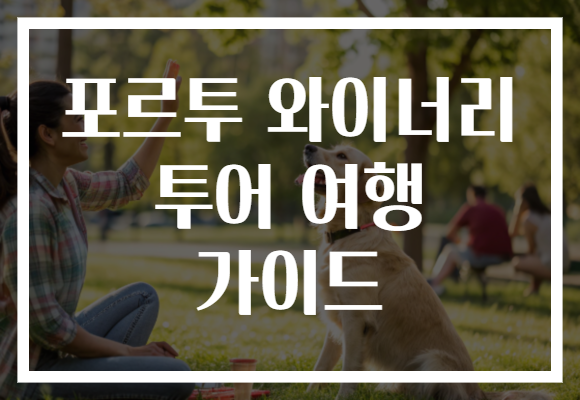 포르투 와이너리 투어 여행 가이드