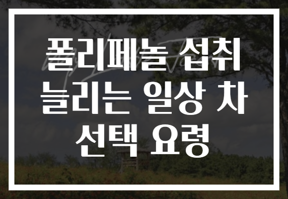 폴리페놀 섭취 늘리는 일상 차 선택 요령