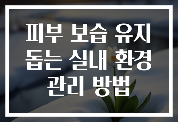 피부 보습 유지 돕는 실내 환경 관리 방법 피부 보습 유지 돕는 실내 환경 관리 방법