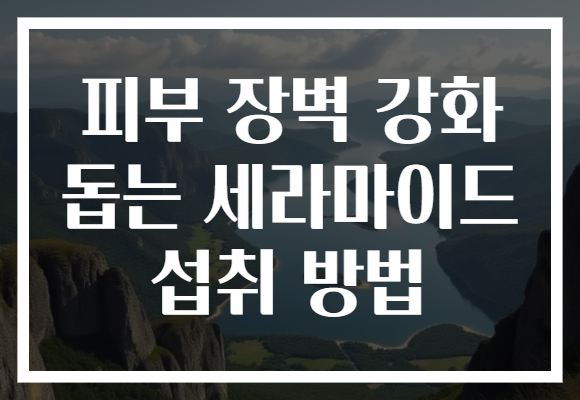 피부 장벽 강화 돕는 세라마이드 섭취 방법