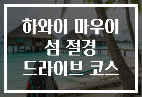 하와이 마우이 섬 절경 드라이브 코스