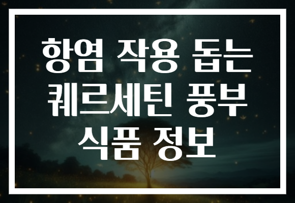 항염 작용 돕는 퀘르세틴 풍부 식품 정보