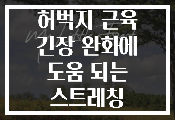 허벅지 근육 긴장 완화에 도움 되는 스트레칭 허벅지 근육 긴장 완화에 도움 되는 스트레칭