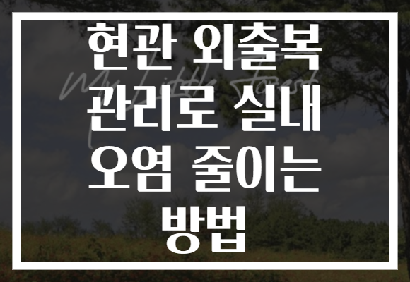 현관 외출복 관리로 실내 오염 줄이는 방법