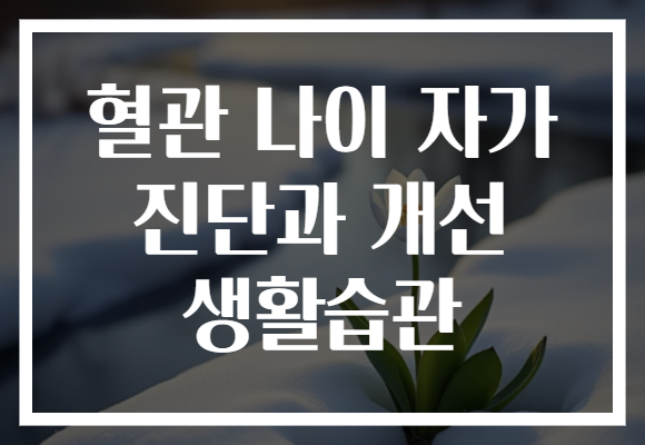 혈관 나이 자가 진단과 개선 생활습관