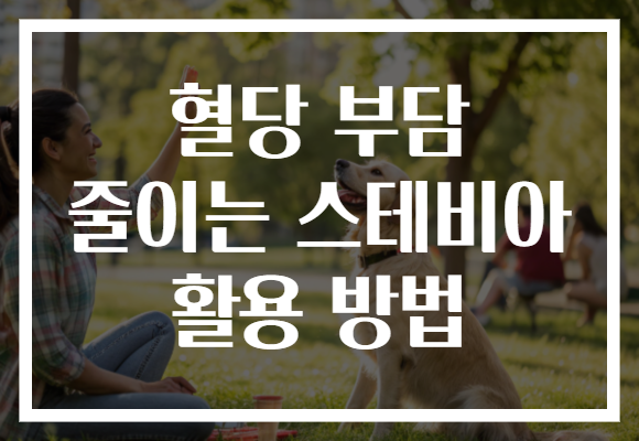 혈당 부담 줄이는 스테비아 활용 방법