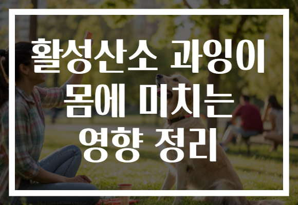 활성산소 과잉이 몸에 미치는 영향 정리