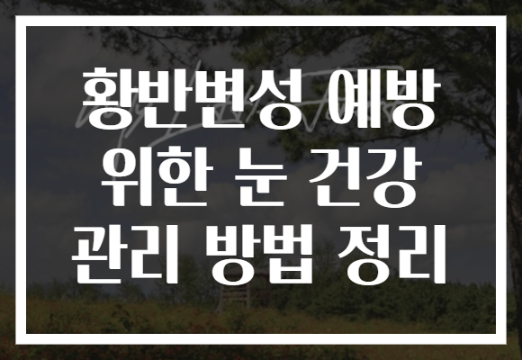 황반변성 예방 위한 눈 건강 관리 방법 정리 황반변성 예방 위한 눈 건강 관리 방법 정리