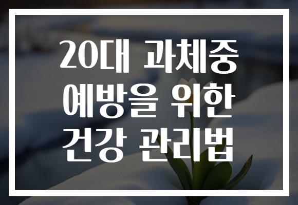 20대 과체중 예방을 위한 건강 관리법 20대 과체중 예방을 위한 건강 관리법