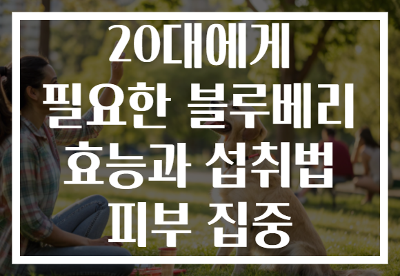 20대에게 필요한 블루베리 효능과 섭취법 피부 집중 20대에게 필요한 블루베리 효능과 섭취법 피부 집중