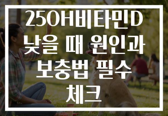 25OH비타민D 낮을 때 원인과 보충법 필수 체크