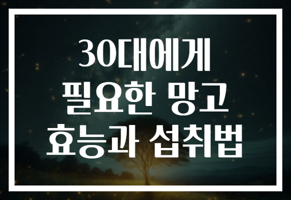 30대에게 필요한 망고 효능과 섭취법 30대에게 필요한 망고 효능과 섭취법
