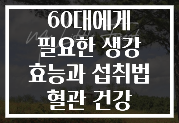 60대에게 필요한 생강 효능과 섭취법 혈관 건강