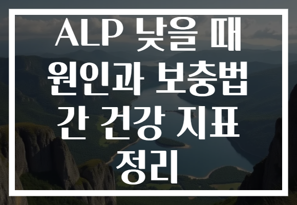 ALP 낮을 때 원인과 보충법 간 건강 지표 정리 ALP 낮을 때 원인과 보충법 간 건강 지표 정리