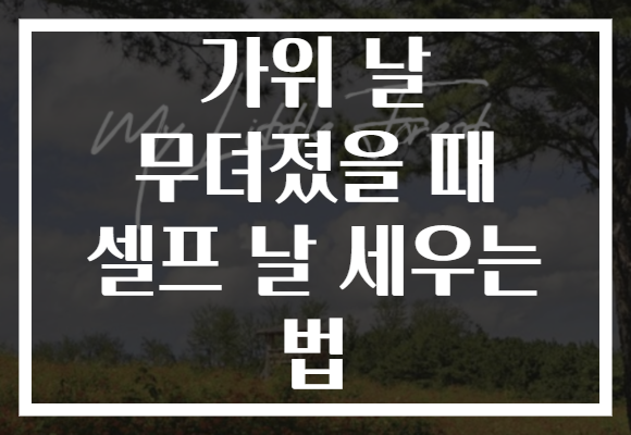가위 날 무뎌졌을 때 셀프 날 세우는 법