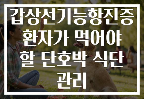 갑상선기능항진증 환자가 먹어야 할 단호박 식단 관리