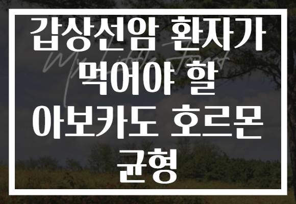 갑상선암 환자가 먹어야 할 아보카도 호르몬 균형