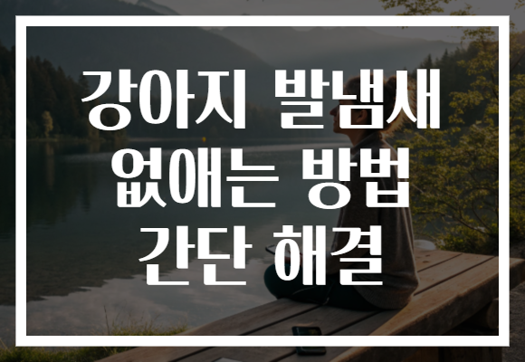 강아지 발냄새 없애는 방법 간단 해결 강아지 발냄새 없애는 방법 간단 해결