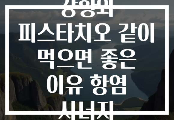 강황와 피스타치오 같이 먹으면 좋은 이유 항염 시너지