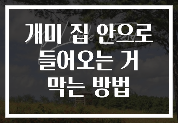 개미 집 안으로 들어오는 거 막는 방법