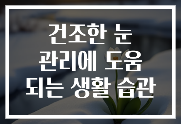 건조한 눈 관리에 도움 되는 생활 습관