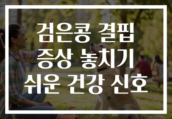 검은콩 결핍 증상 놓치기 쉬운 건강 신호