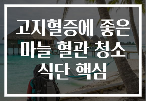 고지혈증에 좋은 마늘 혈관 청소 식단 핵심