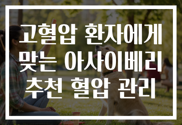 고혈압 환자에게 맞는 아사이베리 추천 혈압 관리