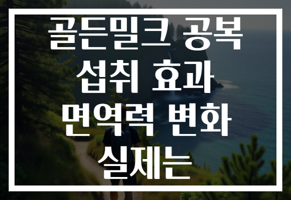 골든밀크 공복 섭취 효과 면역력 변화 실제는