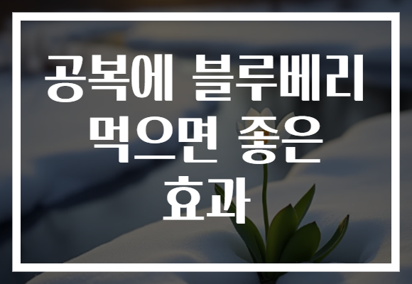 공복에 블루베리 먹으면 좋은 효과 공복에 블루베리 먹으면 좋은 효과