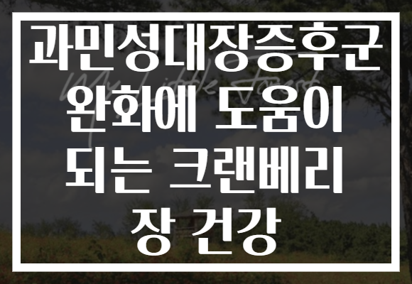 과민성대장증후군 완화에 도움이 되는 크랜베리 장 건강