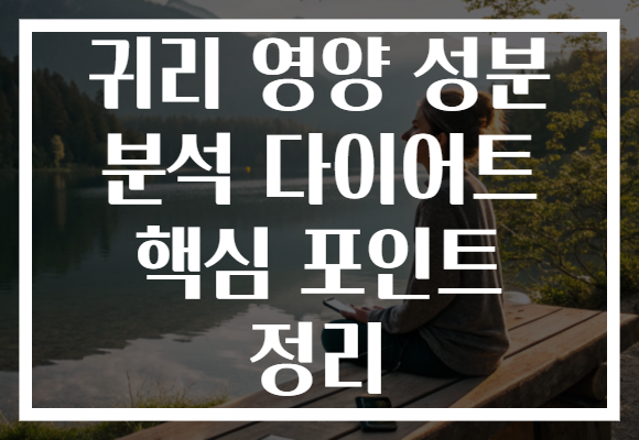 귀리 영양 성분 분석 다이어트 핵심 포인트 정리