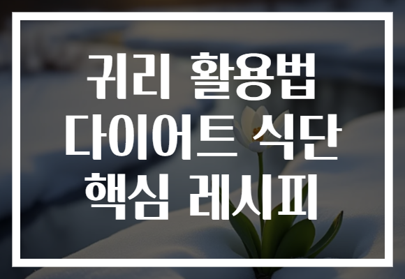 귀리 활용법 다이어트 식단 핵심 레시피